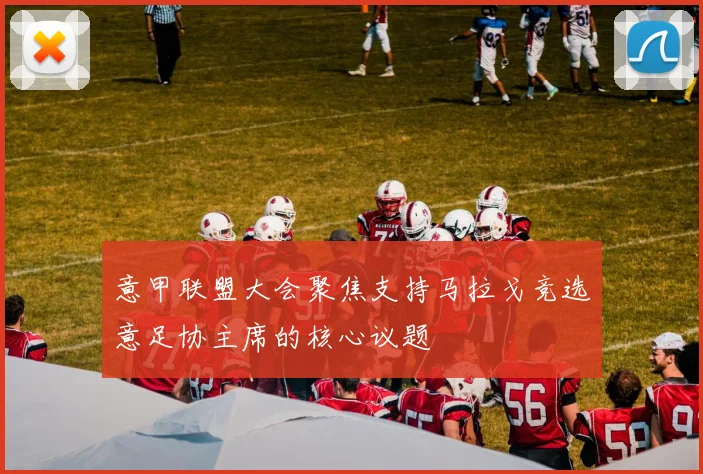 意甲联盟大会聚焦支持马拉戈竞选意足协主席的核心议题